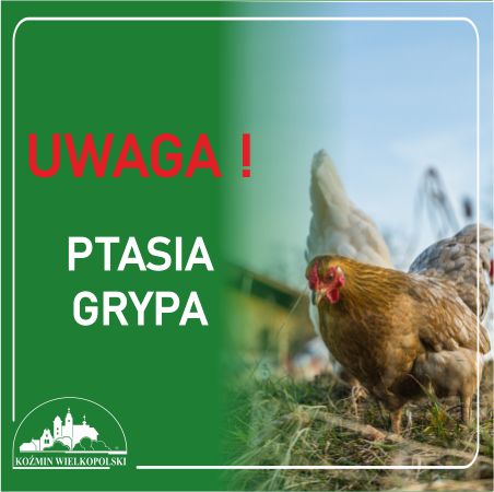 Rozporządzenie Wojewody Wielkopolskiego w sprawie zwalczania wysoce zjadliwej grypy ptaków (HPAI)